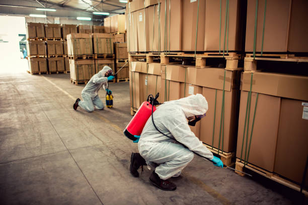 Best Mosquito Control Services  in Marbury, AL