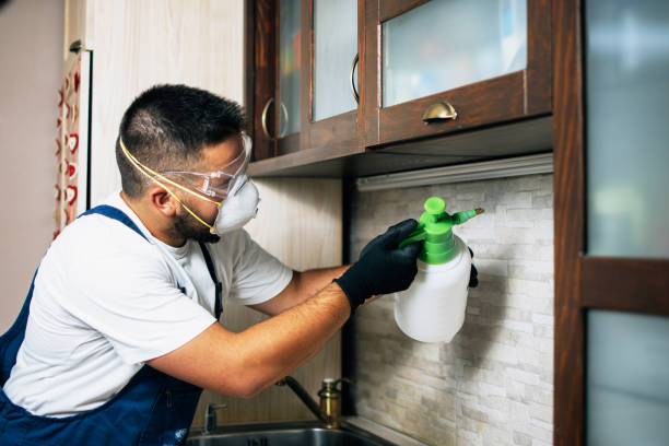 Best Flea Control Services  in Marbury, AL