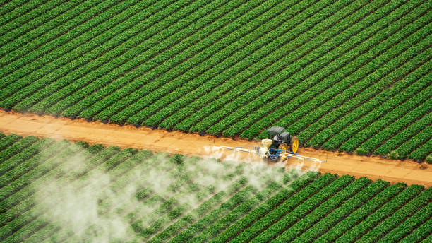 Best Pest Removal Services  in Marbury, AL