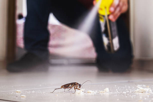 Best Commercial Pest Control Services  in Marbury, AL