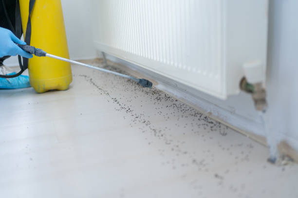 Best Pest Removal Services  in Marbury, AL