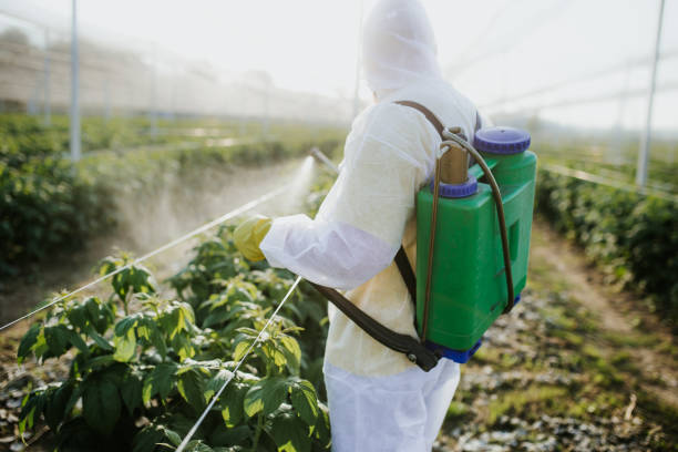 Wildlife Control Services in Marbury, AL
